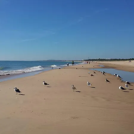 Quinta Das Varzeas * ألتورا
